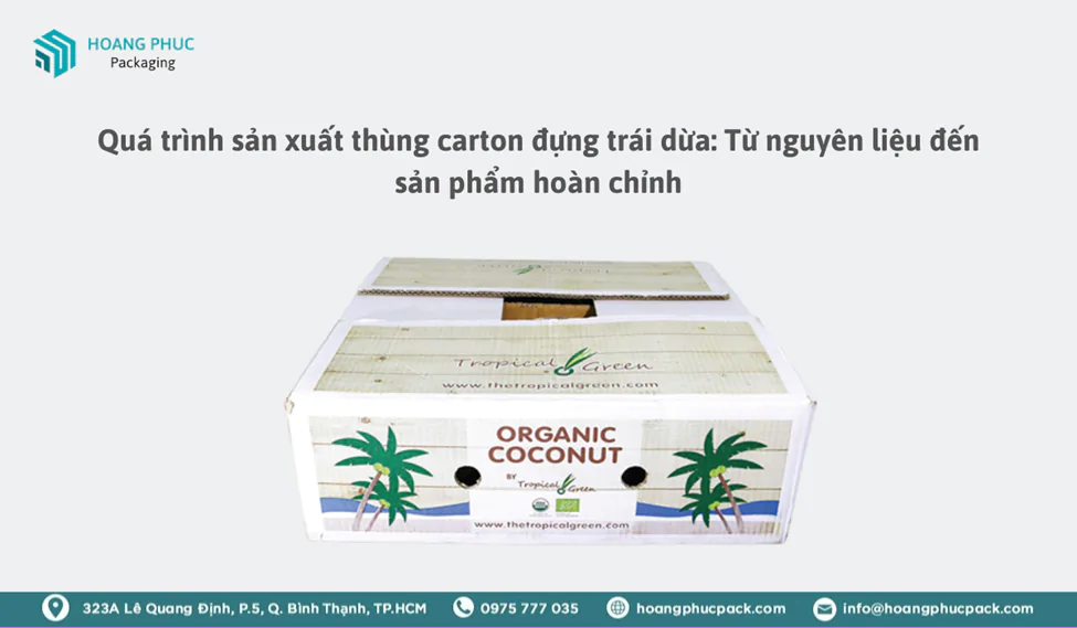 Thùng Carton Tại Bến Tre — Nhà Sản Xuất Trực Tiếp, Giao Hàng Toàn Tỉnh