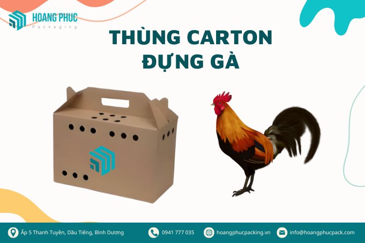 Thùng carton đựng gà Hoàng Phúc Pack an toàn, tiện lợi, tiết kiệm?
