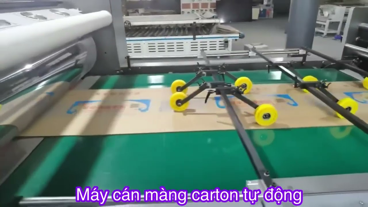 Thùng Thùng Cán Mống Cận Thành Phố Và Các Tỉnh Lân Cận