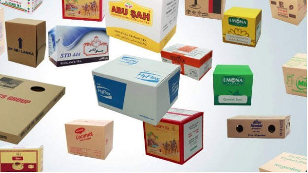 Thiết kế thùng carton - Bí quyết tạo nên thành công trong kinh doanh bao bì
