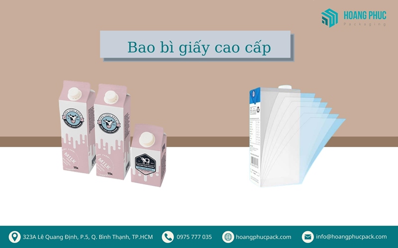 Bao bì giấy cao cấp