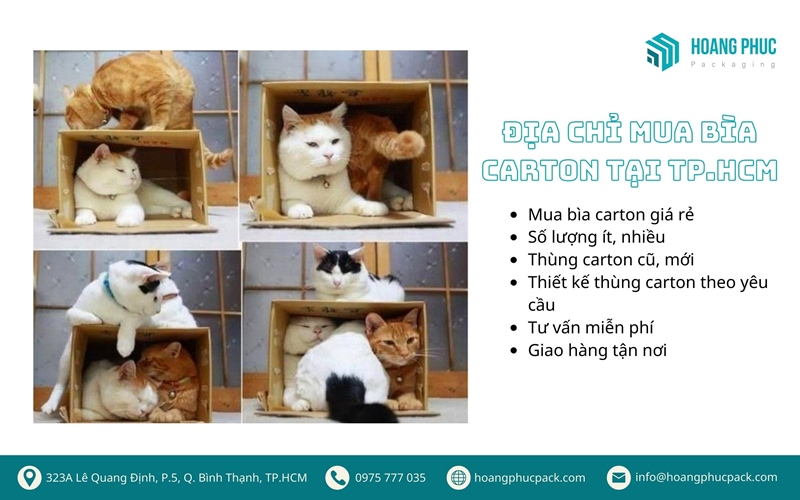 Địa chỉ mua bìa carton uy tín tại TP.HCM