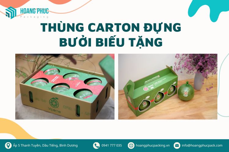 Thùng carton đựng bưởi biếu tặng