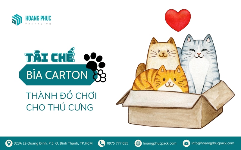 Tái chế bìa carton thành đồ chơi cho thú cưng