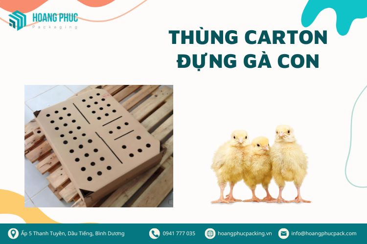 Thùng carton đựng gà con