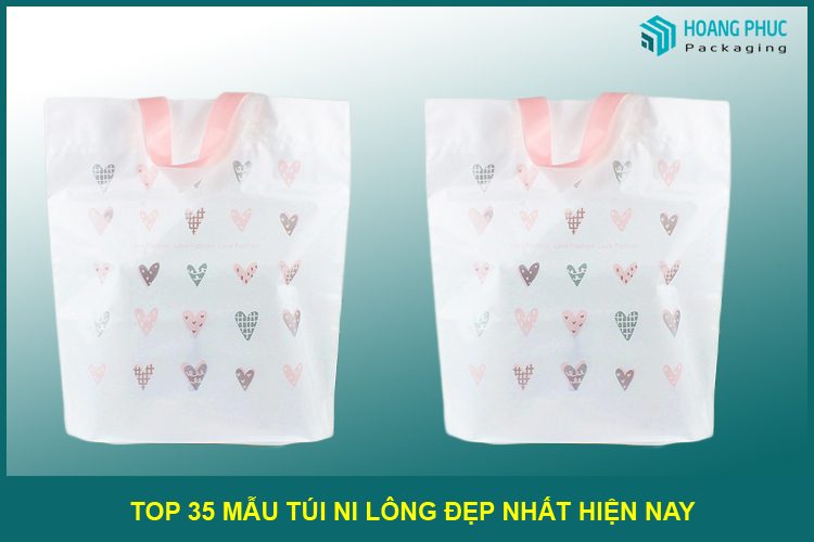 Túi ni lông